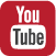 yt-icon